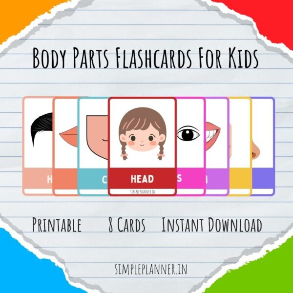 Body Parts Flash Cards for Kids